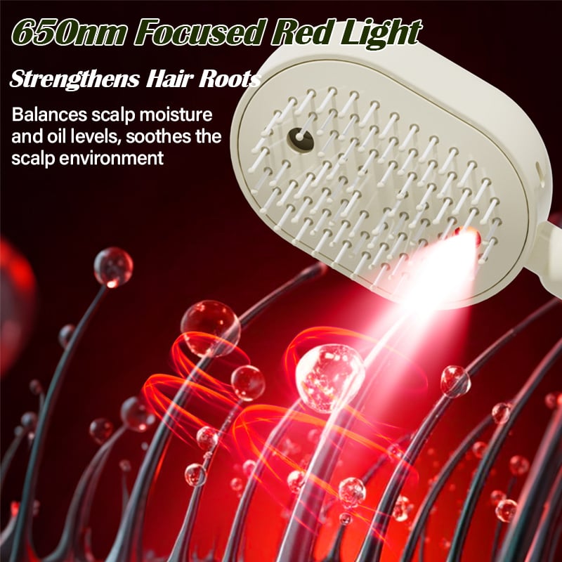🔥LAST DAY 50% OFF - 2026 Electric Spray Air Cushion Massage Comb (Offer)